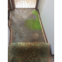 Die leaking through wall from Canberra shower - Caused by water proofing