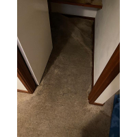water damaged carpet in woden - caused by nail in pipe in wall