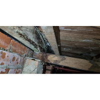 Water damaged structural timber in Belconnen -Caused by a leaking shower base