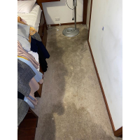 damaged carpet from a water leak in the wall in Woden Canberra