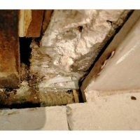 Water proofing was absent at the door letting water under the tiles and damage to door frame in Forrest Canberra