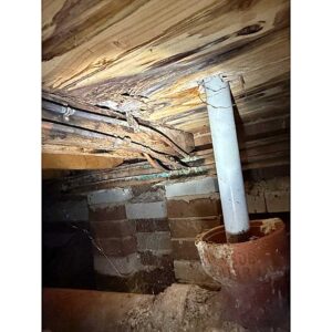 LMBQ 1 1 rotten floor timbers caused by a water leak in the walls above