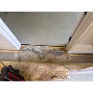 LMBQ 1 2 Water tracking from outside window to near bathroom door